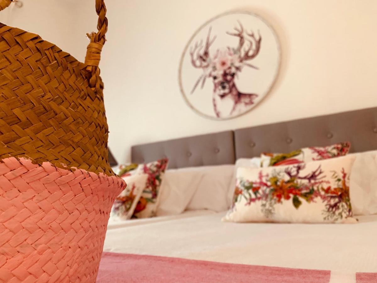 Casa Ruy Lopez Hotel Zafra Luaran gambar