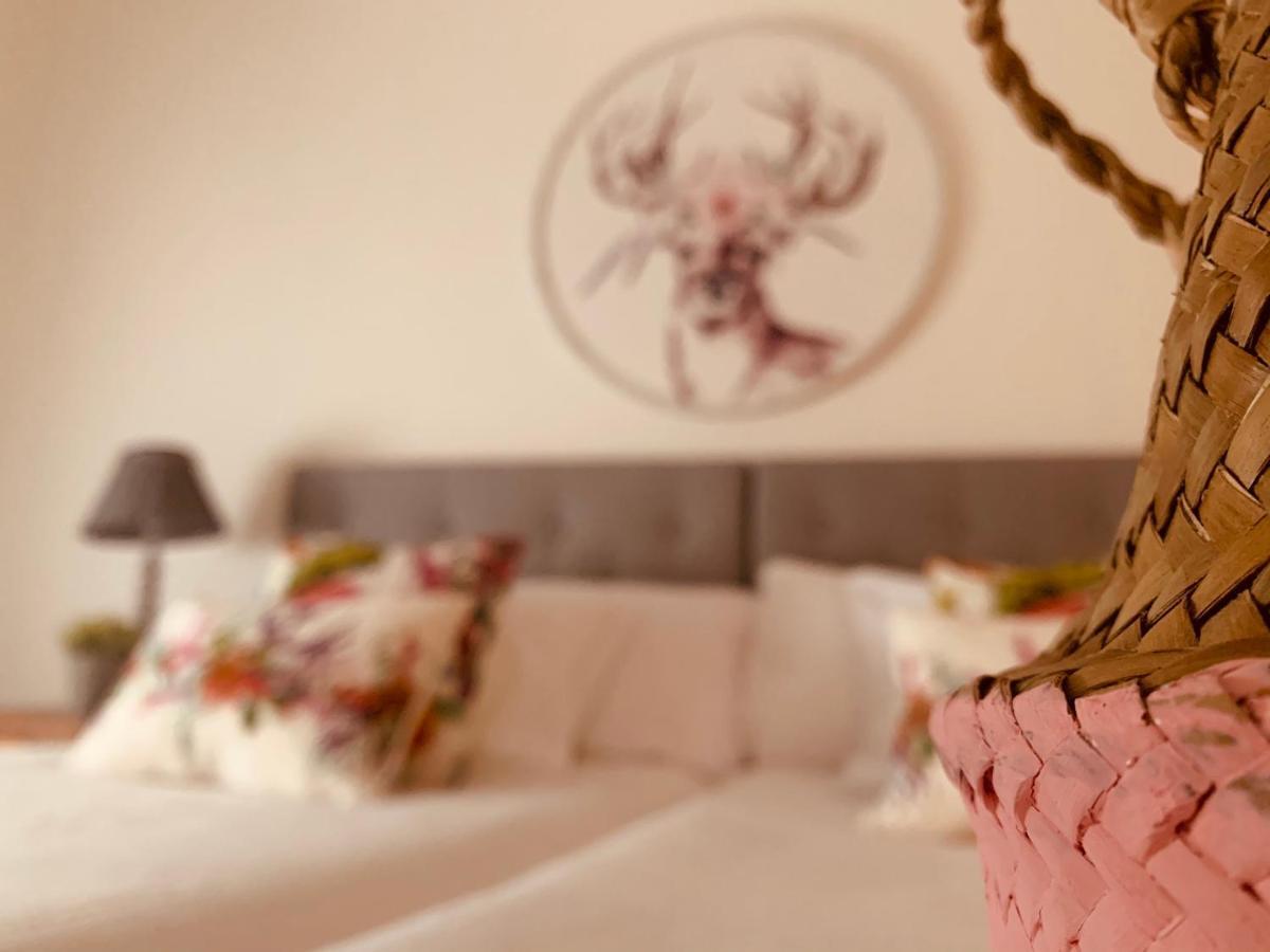 Casa Ruy Lopez Hotel Zafra Luaran gambar